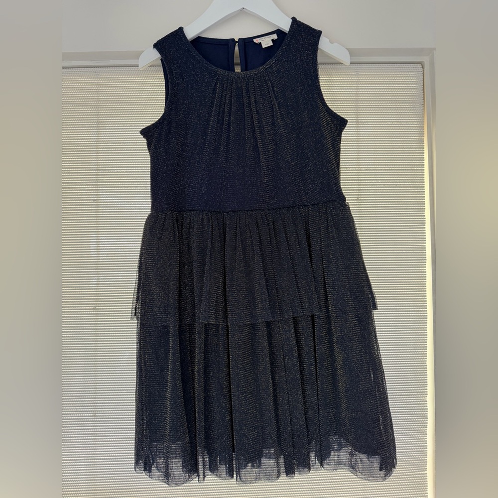 Crewcuts Navy Sparkle Tiered Tulle Dress